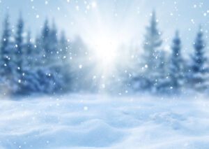 Snowy landscape with trees and falling snowflakes.