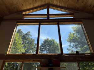 Large window with trees and blue sky.